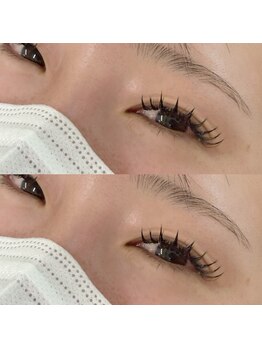 アンジェリークアイラッシュ(Angelique Eye Lash)/フラット160本　束仕上げ