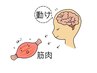 脳神経は毎日退化する!? 今こそ自分のバランス確認を！