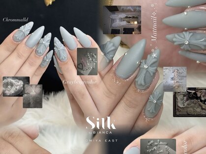 シルク バイ ビアンカ 大宮東口店(Silk by Bianca)の写真