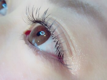 ビューティーサロン ボヤージュ(Voyage)/セーブル120