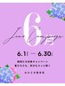 【6月限定】梅雨だる解消キャンペーン!! (60分)¥8000→¥4000