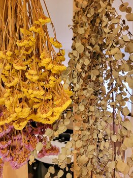 ルクラルテ(LUCRALTE)/植物があるサロン