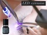 【オプション】LEDグルーに変更 持続力UP ※クーポン単体予約不可※【¥1500】