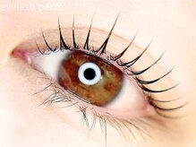 モストアイズ 東銀座(most eyes)の雰囲気（まつ毛パーマは似合うデザインを複数あるデザインの中からご提案）