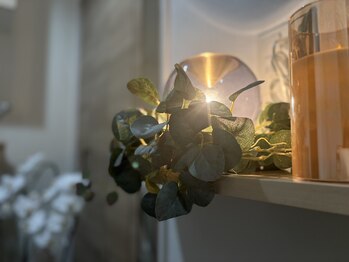 ミーツリラックス(meets relax)/