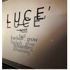 ルーチェビューティープラス(LUCE' beauty +)のお店ロゴ