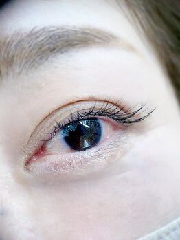 ムニ(muni)/LEDフラットラッシュ80本