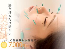 オプト(opt.)