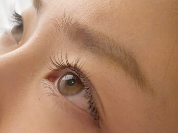 アンダンテ(Andante)の写真/超軽量・長持ちのフラットラッシュは60本~つけ放題まで♪カール・長さ・太さもお好みに合わせてご選択◎