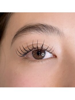 ラ ギャビー(La Gabby)/フラットラッシュ140本 束