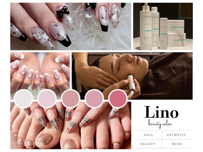 リノ(Lino)の写真