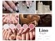 リノ(Lino)の写真