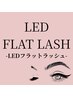 【LED】led & フラットラッシュ 100本【八代・宇土・宇城】