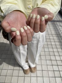 パステルカラー