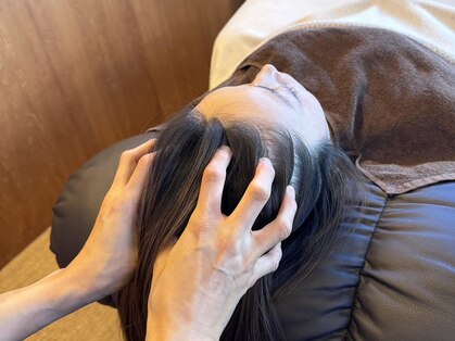 ミモザ(mimosa)の写真