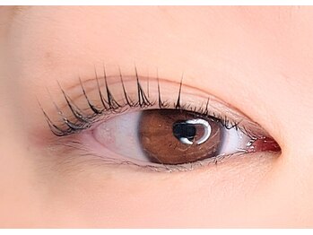 ルナリー(lunaly)/ラッシュリフト立ち上げ♪