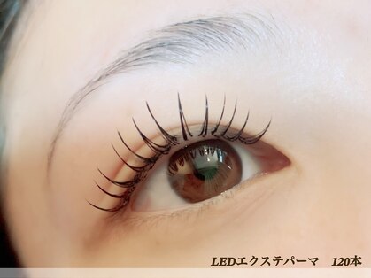 ヴィラアンドテラス(Villa×terrace)の写真