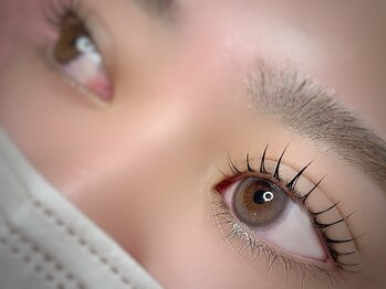 エーワイラッシュ 藤沢店(AYLASH)/まつ毛パーマ☆カール、リフト