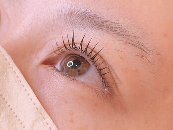 ラシク ベル(Lashiku Belle)/パリジェンヌラッシュリフト