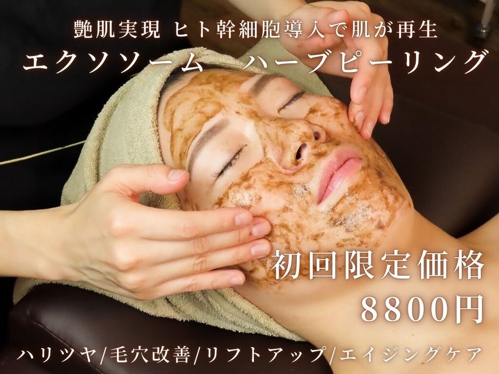 美顔&頭皮ケア エステサロン 定価56700円 Beapro 電動頭皮ブラシ コードレス EMS RF温感 赤色LED 高速タッピング