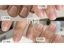 フィグ(Fig)の雰囲気（人気の爪育Onecolor￥6,600／お爪の形を美しく導きます）
