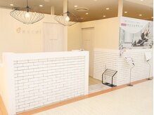 エクセル 豊田店(excel)/【受付】