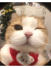 ハニ 池袋(Hanni) ハン