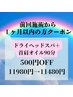 【前回施術から1ヶ月以内の方】ヘッドスパ+首肩オイル90分 ¥11980→11480