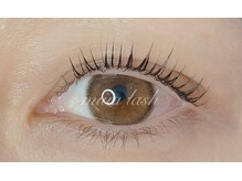 ミアラッシュバイオンフリーク(miiia lash by ON fleek)/オーダーメイドラッシュリフト