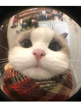 ハニ 池袋(Hanni) れいな