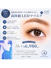 アベニュー 府中駅前店(Avenue)/【高持続】LEDフラットラッシュ