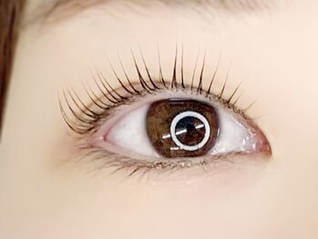 エイミー(Amy)/まつげパーマ/ラッシュリフト