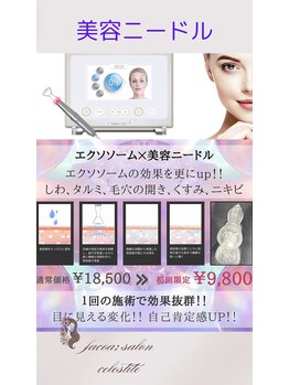 フェイシャルサロン セレスタイト/【肌質改善】マイクロニードル