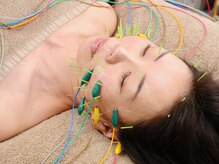 ベルシャ(Belle Chat)