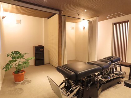 ミモザ(mimosa)の写真