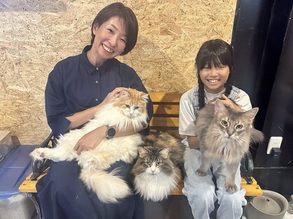 サロン ド アンティーク(Salon de Antique*)の写真