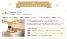 カラーリリー(Calla Lily)