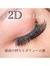 【2Dフラットラッシュ】　260本(130束)