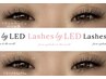  【★LED★】フラットラッシュ5週以内≪ 付け放題≫オフ込