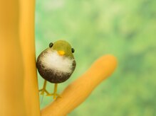 足楽亭/ご来店お待ちしております