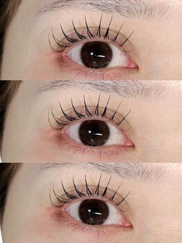 エステラ(ESTELA)/まつ毛パーマ