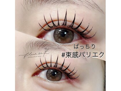 フルールシュア(fleur sr.)の写真