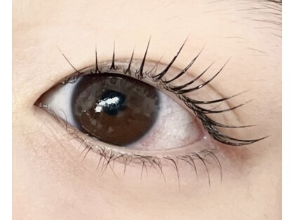 ウルラ(ulula)の写真