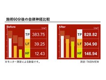 美電流ポム/自律神経/小顔/痩身/肩こり