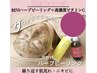 【本気の肌荒れ改善★】ハーブ+高濃度ビタミン+再生美容パック　11550円
