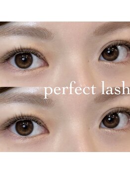 チルダ(tilde)/パーフェクトラッシュ