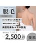 7、8月限定！！【見せる背中に◎】＊背中脱毛