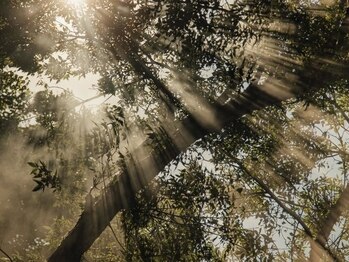 ガーデン 豊中(GARDEN.)/ハリウッドブロウリフト/眉毛