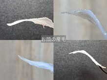 テリー(Terry)の雰囲気（フェイシャルワックスでつるぴか肌に☆）