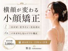 整音(totonone)